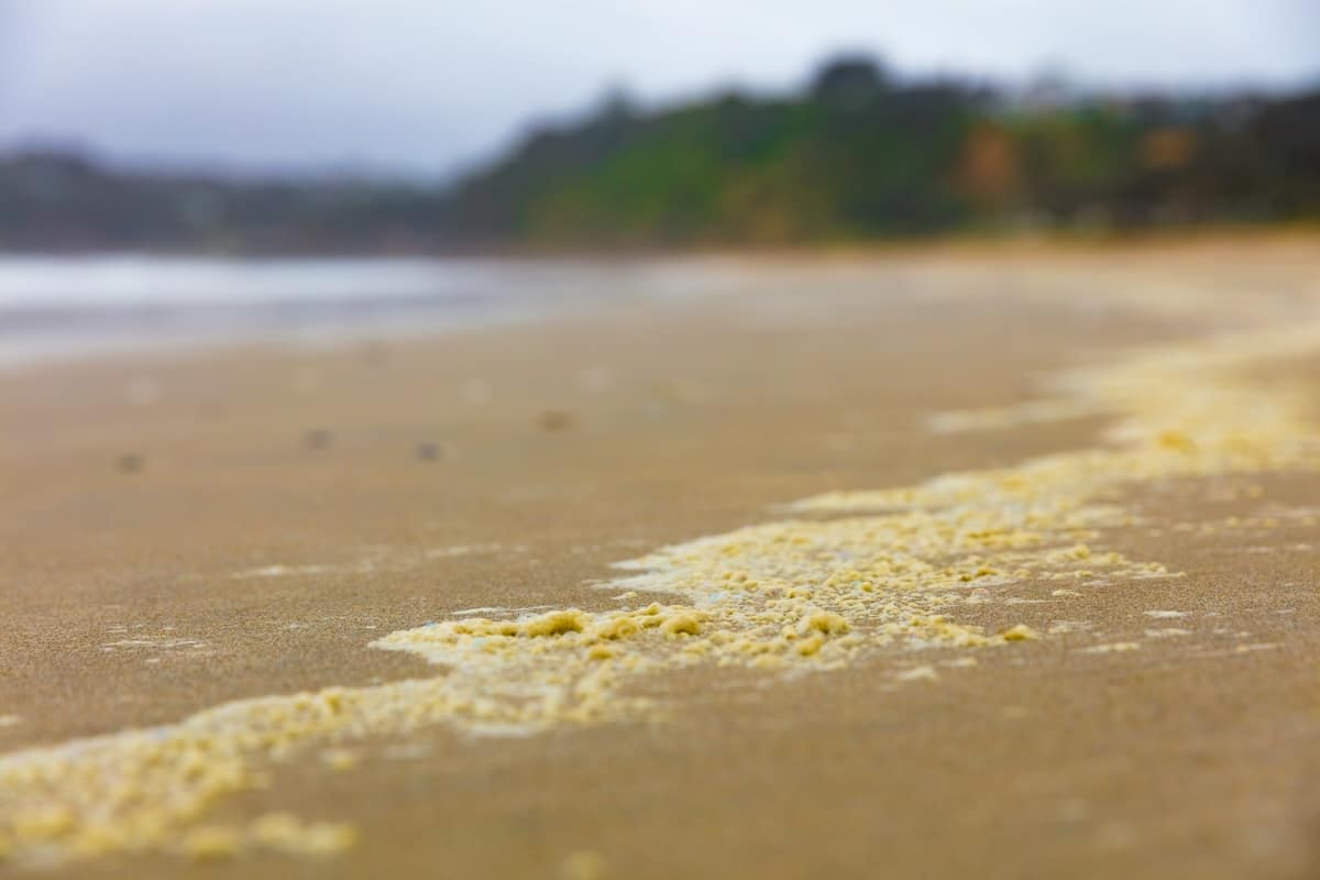 Pollution, bactéries, algues… Les plages à éviter absolument cet été