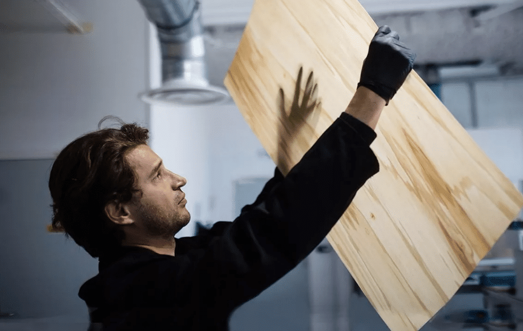 BTP : Woodoo, du bois augmenté pour remplacer le béton