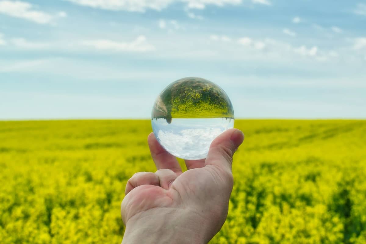 Reporting ESG : la start-up Greenscope voit loin