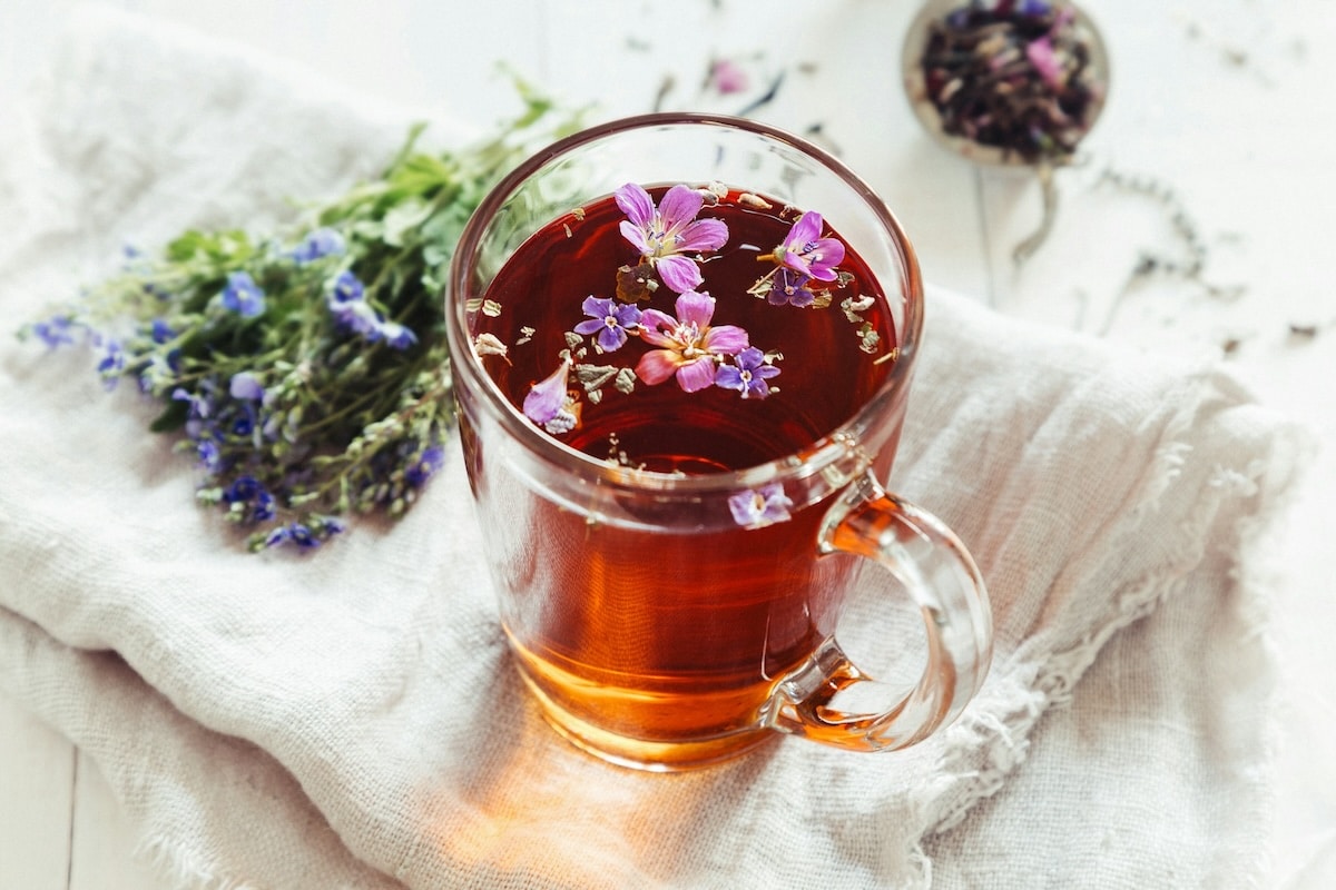 Auvergne : Happy Plantes, la tisane au goût de résistance